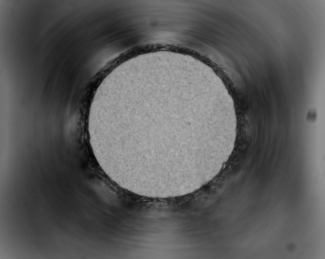 X0000103910872200810311430