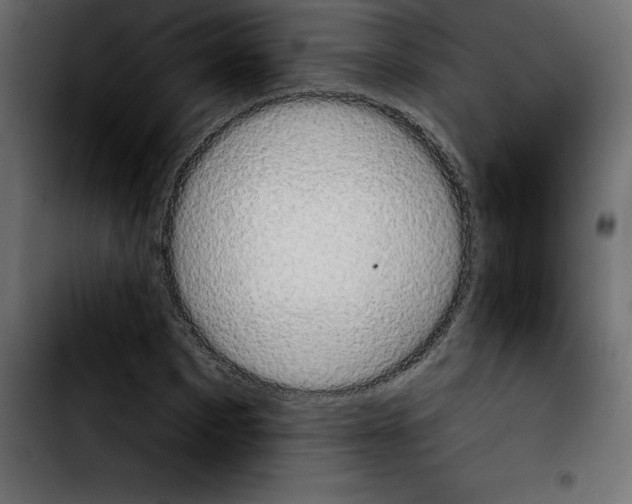 X0000103910873200810311430