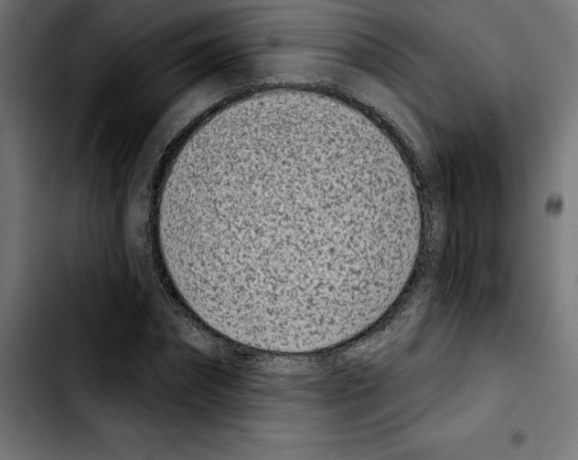 X0000103910874200810311430