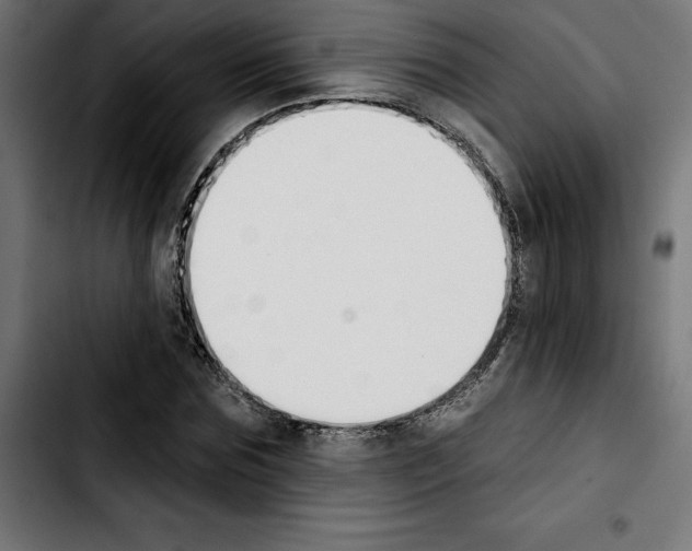 X0000103910875200810311430