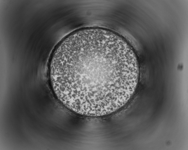 X0000103910876200810311430
