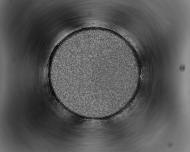 X0000103910877200810311430