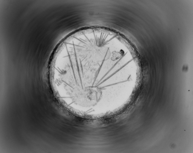 X0000103910879200810311430