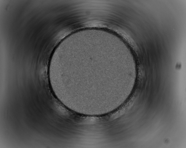 X0000103910881200810311430