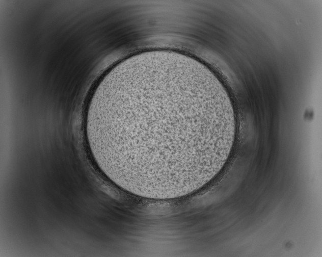 X0000103910882200810311430