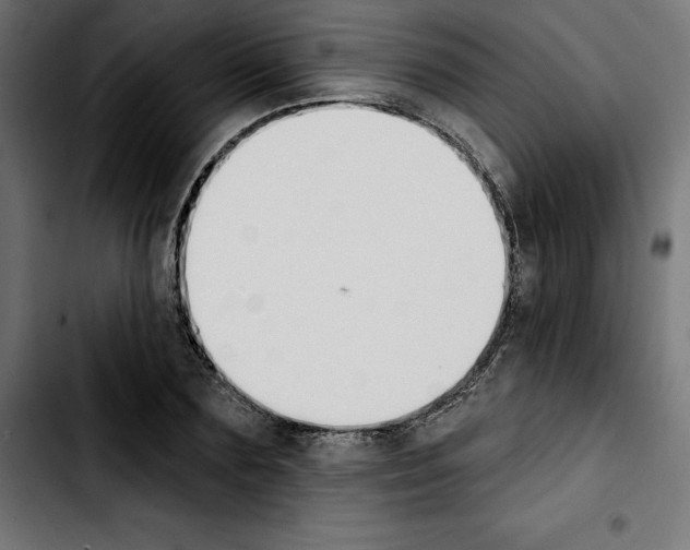 X0000103910883200810311430