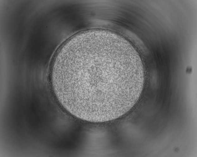 X0000103910884200810311430