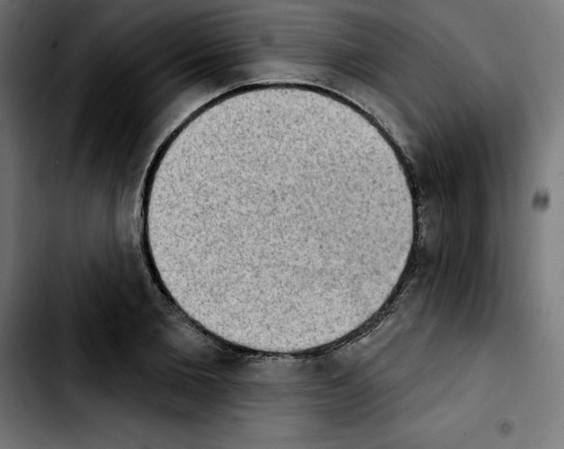 X0000103910885200810311430