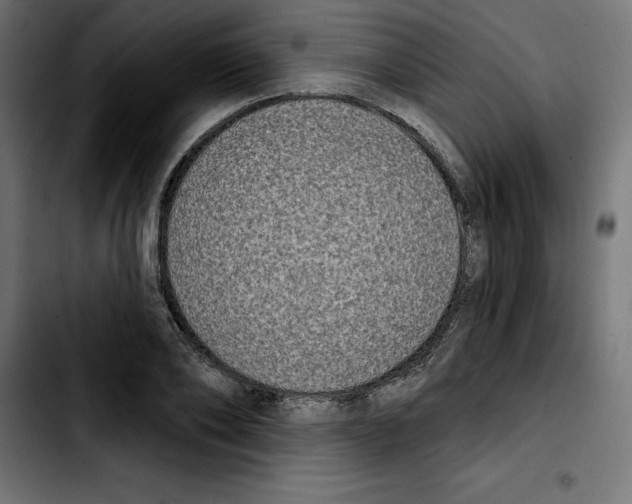 X0000103910886200810311430
