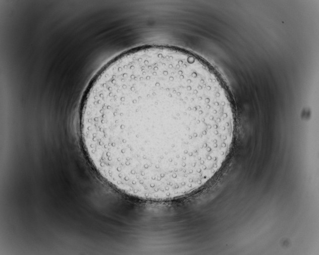 X0000103910887200810311430