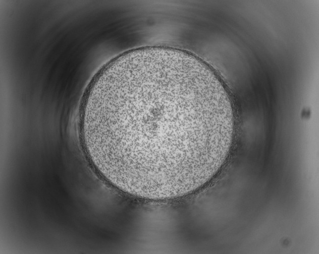 X0000103910888200810311430