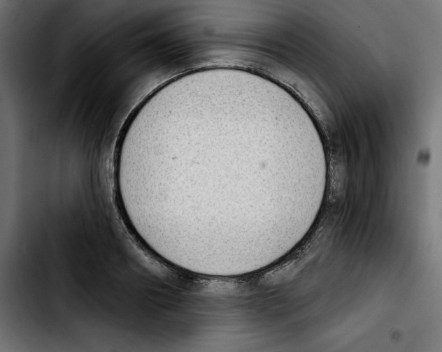 X0000103910890200810311430