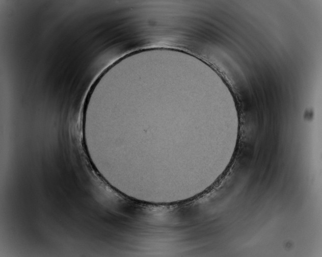 X0000103910892200810311430