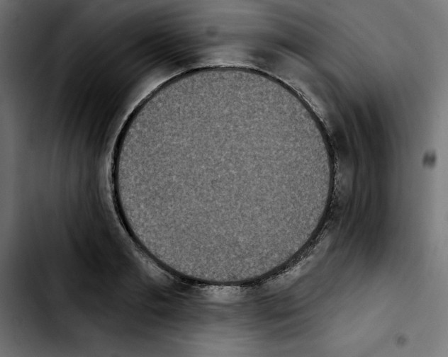 X0000103910893200810311430