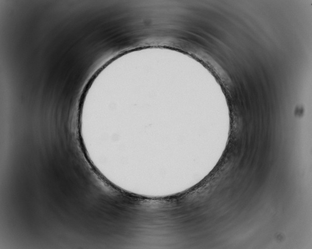 X0000103910894200810311430