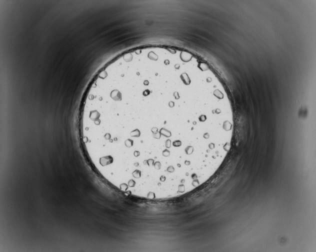 X0000103910895200810311430