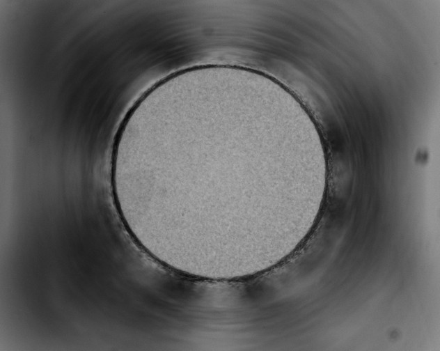 X0000103910896200810311430