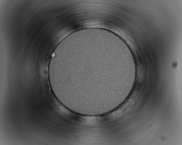 X0000103910897200810311430