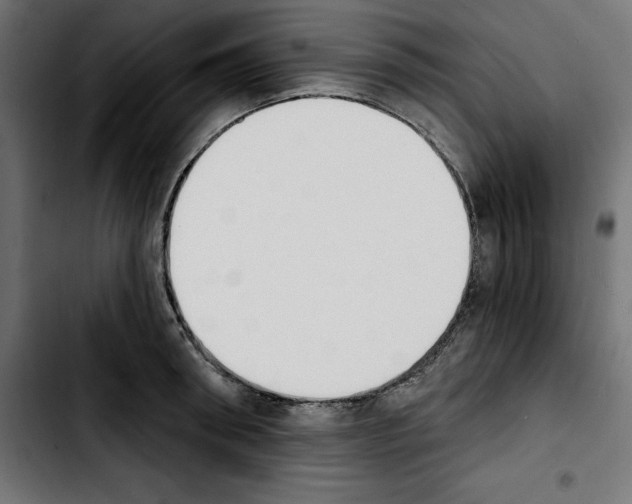 X0000103910898200810311430