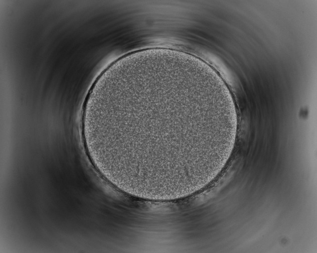 X0000103910899200810311430