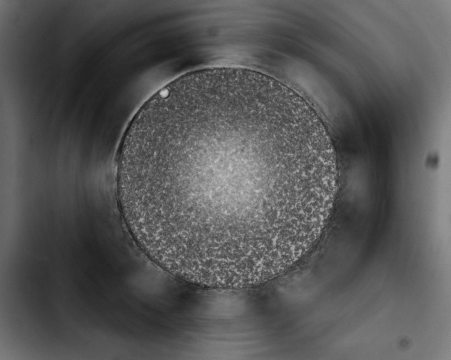 X0000103910900200810311429