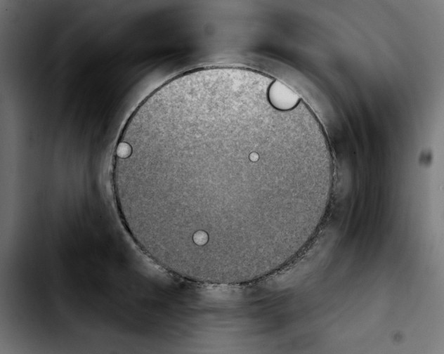 X0000103910901200810311429