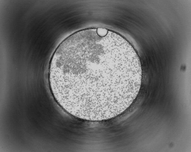 X0000103910903200810311429