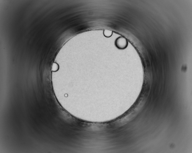 X0000103910905200810311429
