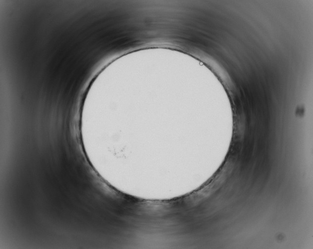 X0000103910910200810311429
