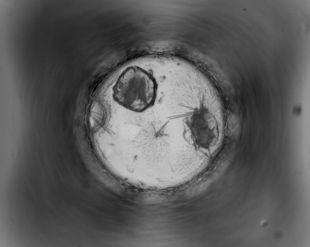 X0000103910913200810311429