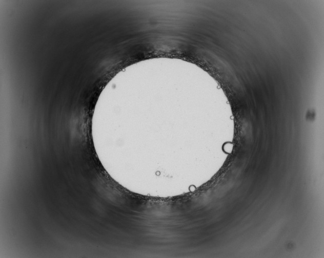 X0000103910914200810311429