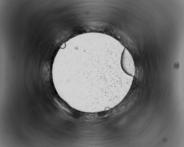 X0000103910915200810311429
