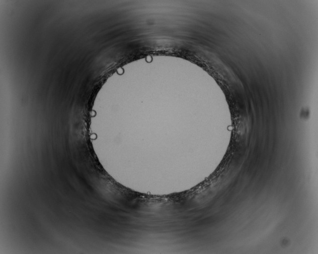 X0000103910916200810311429