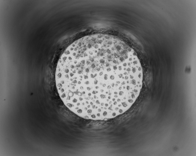 X0000103910917200810311429