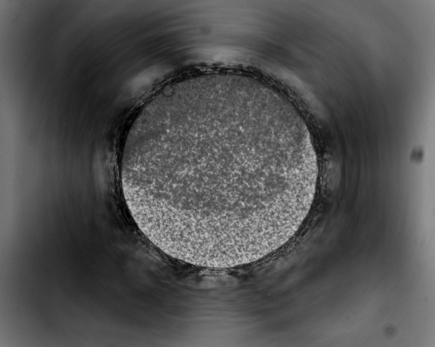 X0000103910918200810311429
