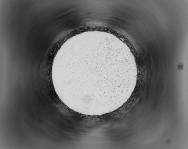 X0000103910919200810311429