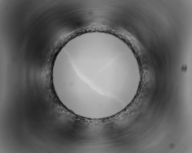 X0000103910920200810311429