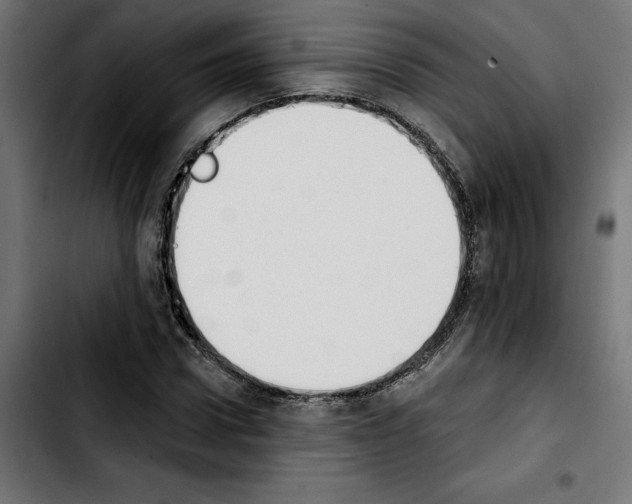 X0000103910922200810311429