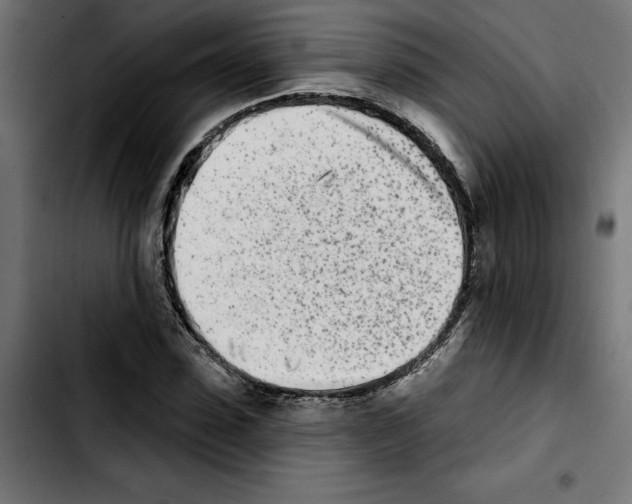 X0000103910923200810311429