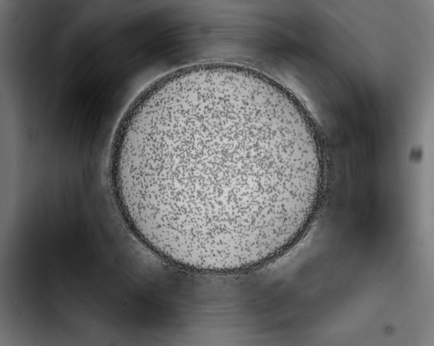 X0000103910924200810311429