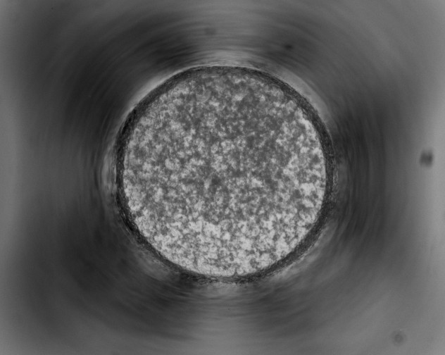 X0000103910925200810311429