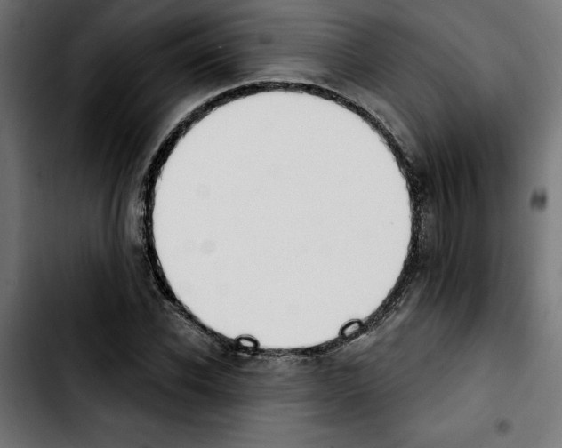 X0000103910926200810311429
