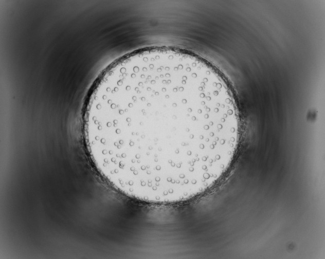X0000103910927200810311429