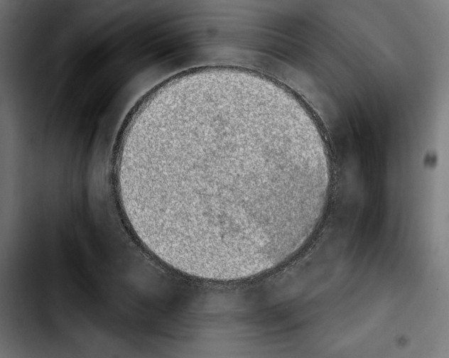 X0000103910928200810311429