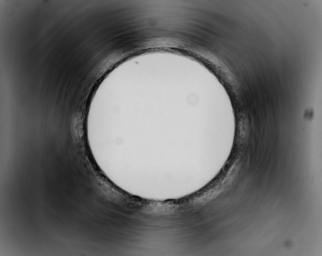 X0000103910929200810311429