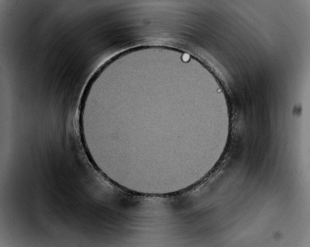 X0000103910932200810311429
