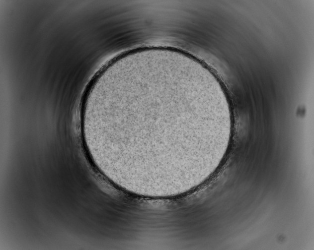 X0000103910934200810311429