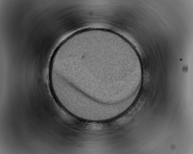 X0000103910935200810311429