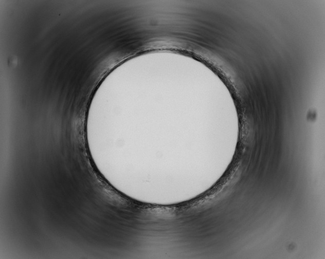 X0000103910937200810311429