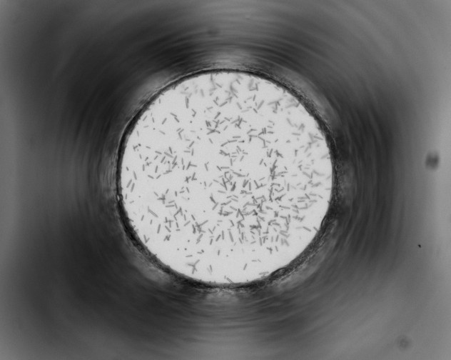 X0000103910938200810311429